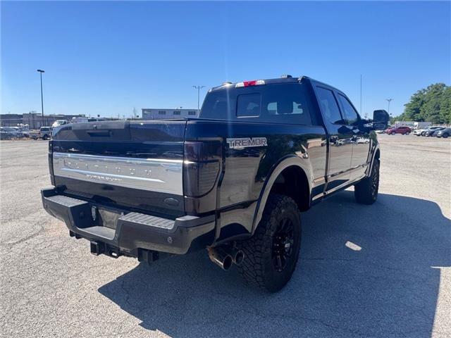 2020 Ford F-250 Platinum