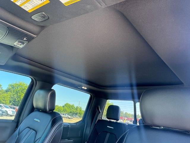 2020 Ford F-250 Platinum