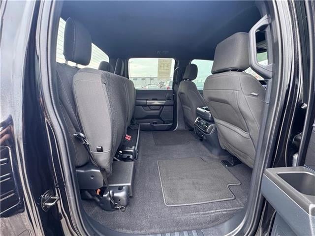 2023 Ford F-150 XLT 4x4 SuperCrew Cab 5.5 ft. box 145 in. WB