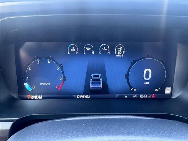 2025 Ford F-150 LARI