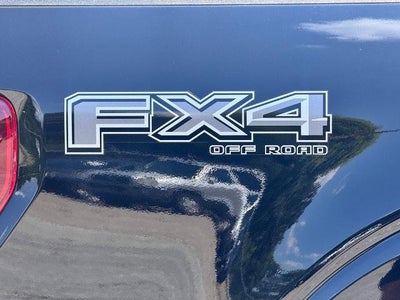 2025 Ford F-150 KINGRN