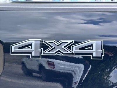 2025 Ford F-150 KINGRN