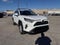 2019 Toyota RAV4 XLE Front-wheel Drive